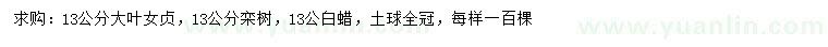 求購大葉女貞、欒樹、白蠟