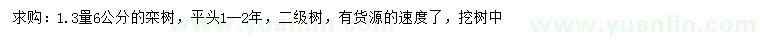 求購1.3米量6公分欒樹