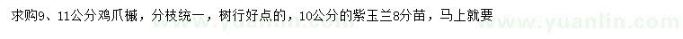 求購9、11公分雞爪槭、10公分紫玉蘭