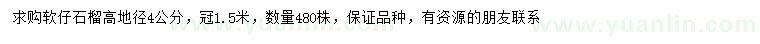 求購地徑4公分石榴樹