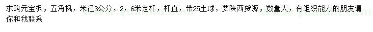 求購(gòu)米徑3公分元寶楓、五角楓