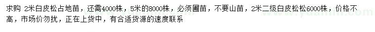求購2、5米白皮松