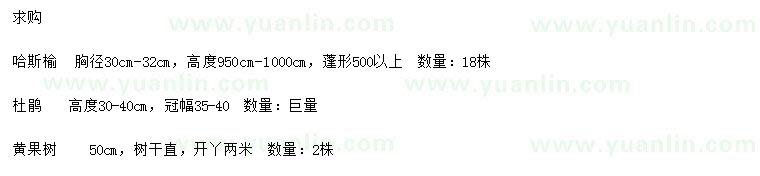 求購哈斯榆、杜鵑、黃果樹
