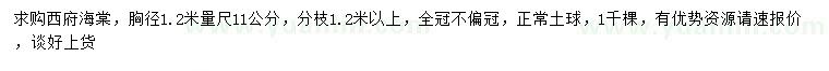 求購1.2米量11公分西府海棠