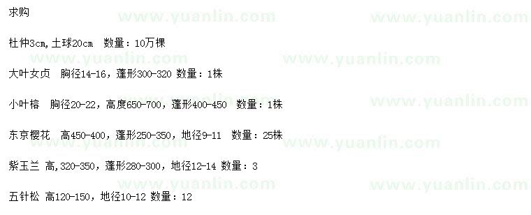 求購(gòu)杜仲、大葉女貞、小葉榕等