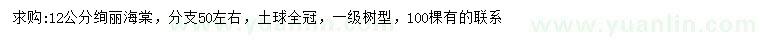 求購(gòu)12公分絢麗海棠