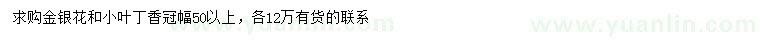 求購(gòu)冠幅50公分以上金銀花、小葉丁香