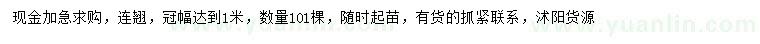 求購冠幅1米連翹