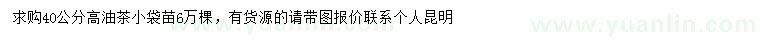 求購(gòu)高40公分油茶