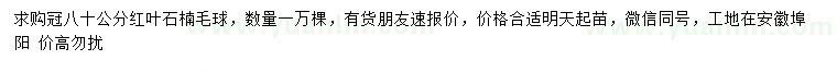求購冠幅80公分紅葉石楠球