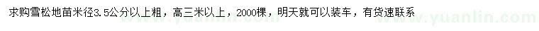 求購(gòu)高3米以上雪松