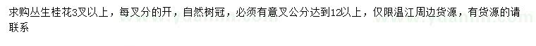 求購3叉以上叢生桂花