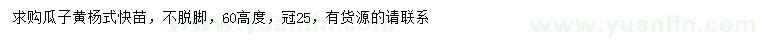 求購高60公分瓜子黃楊