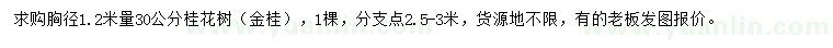 求購胸徑1.2米量30公分桂花樹（金桂）