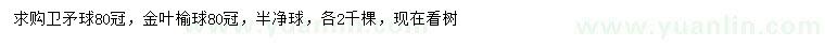 求購冠幅80公分衛(wèi)矛球、金葉榆球