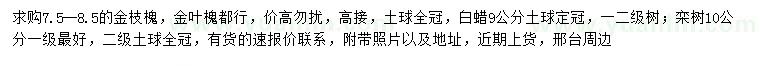 求購(gòu)金枝槐、金葉槐、白蠟等
