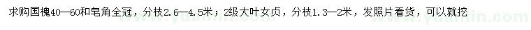 求購(gòu)國(guó)槐、皂角、大葉女貞