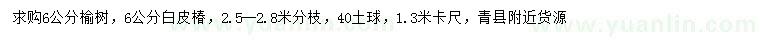 求購(gòu)1.3米量6公分榆樹(shù)、白皮椿