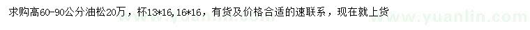 求購高60-90公分油松