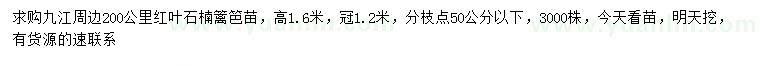 求購高1.6米紅葉石楠