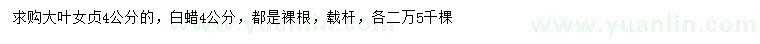 求購(gòu)4公分大葉女貞、白蠟