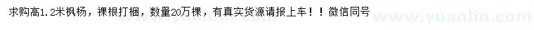 求購(gòu)高1.2米楓楊