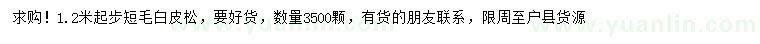求購(gòu)1.2米以上白皮松