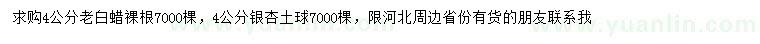 求購4公分老白蠟、銀杏