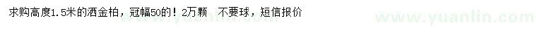 求購高1.5米灑金柏