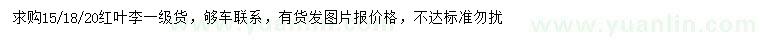 求購15、18、20公分紅葉李