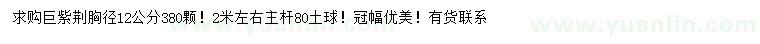 求購12公分巨紫荊