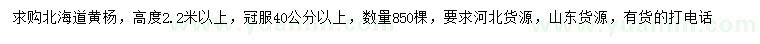 求購高2.2米以上北海道黃楊