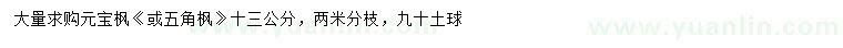 求購(gòu)13公分元寶楓、五角楓