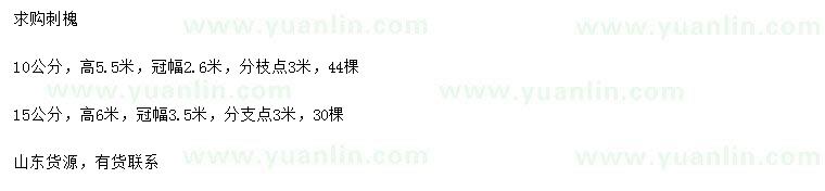 求購(gòu)10、15公分刺槐