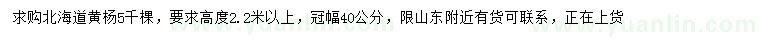 求購高2.2米以上北海道黃楊