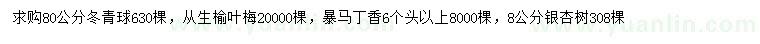 求購冬青球、叢生榆葉梅、暴馬丁香等