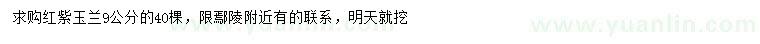 求購(gòu)9公分紅玉蘭、紫玉蘭