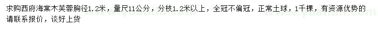 求購(gòu)1.2米量11公分西府海棠、木芙蓉