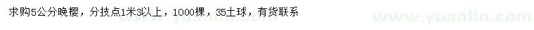 求購5公分晚櫻