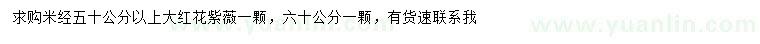 求購米徑50、60公分以上大紅花紫薇