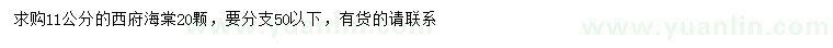 求購(gòu)11公分西府海棠