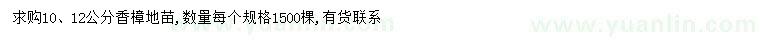 求購10、12公分香樟