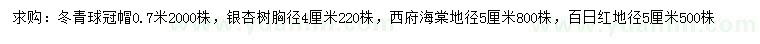 求購(gòu)冬青球、銀杏、西府海棠等