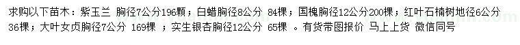 求購紫玉蘭、白蠟、國槐等