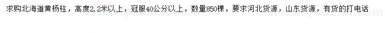 求購高2.2米以上北海道黃楊柱