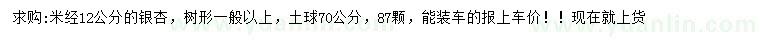 求購米徑12公分銀杏