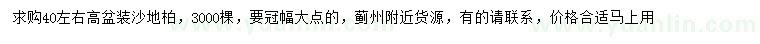 求購高40公分左右沙地柏
