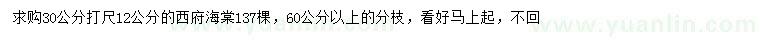 求購30量12公分西府海棠