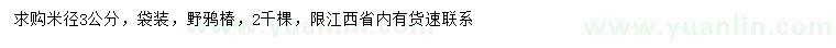 求購米徑3公分野鴉椿