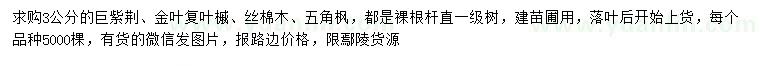 求購巨紫荊、金葉復(fù)葉槭、絲棉木等